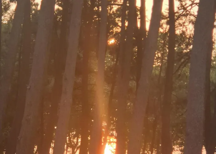 Accommodatie bij particulieren Precioso En Samil A Pie De Playa Comarca de Vigo